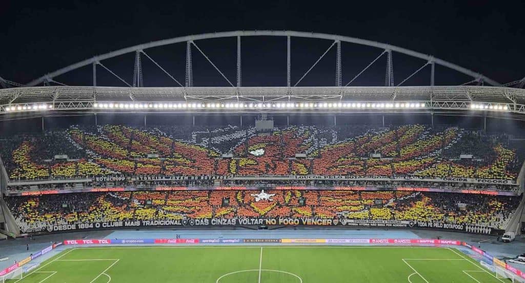 Botafogo Time e Elenco