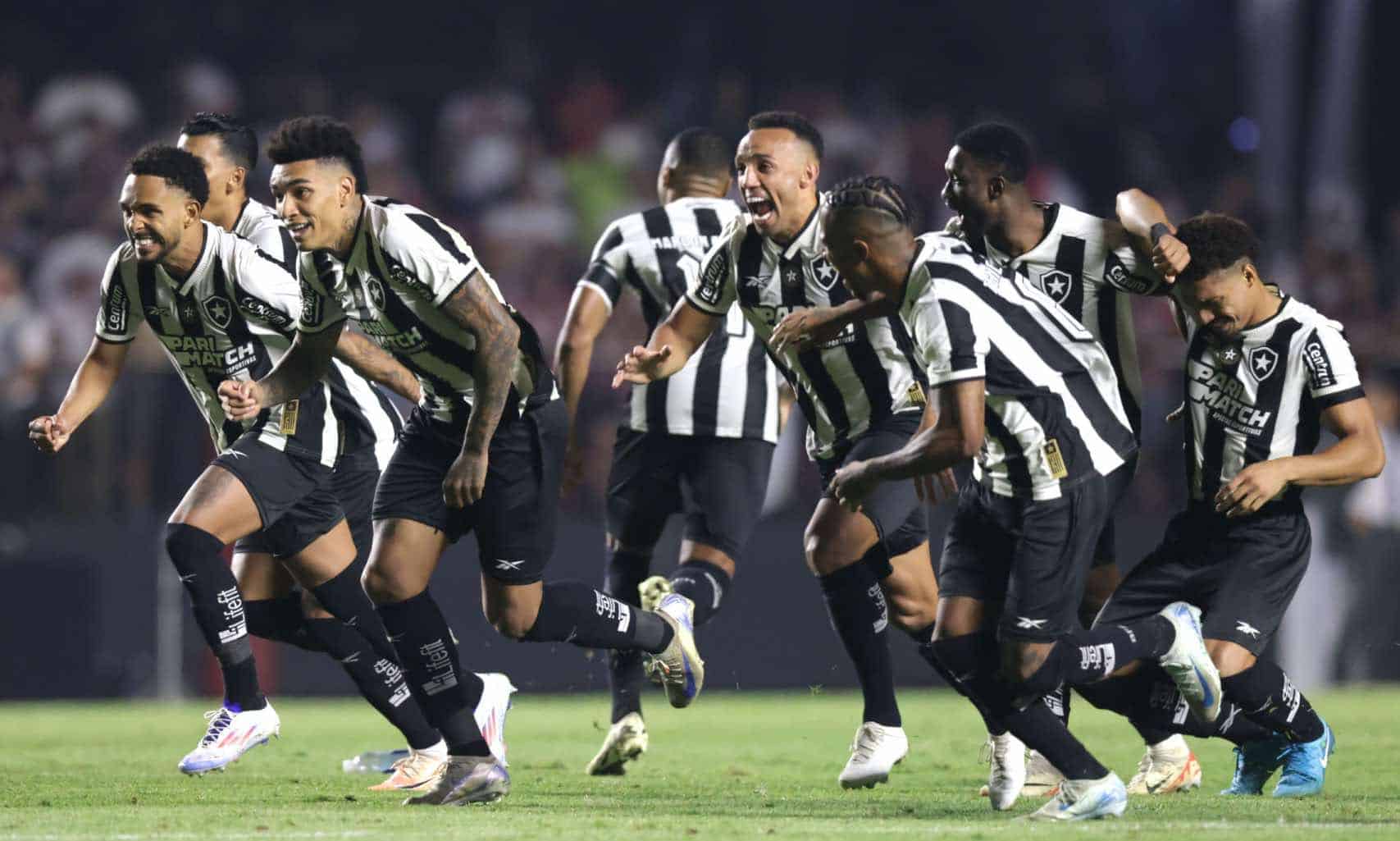 Botafogo na Libertadores 2024